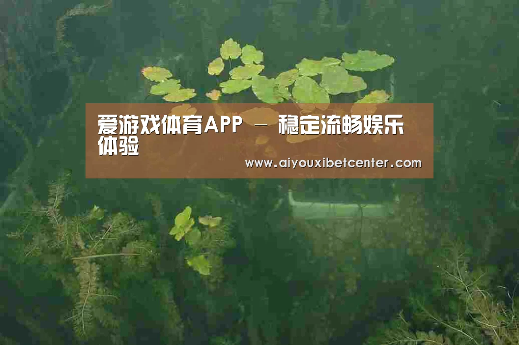 案例展示三(图1)