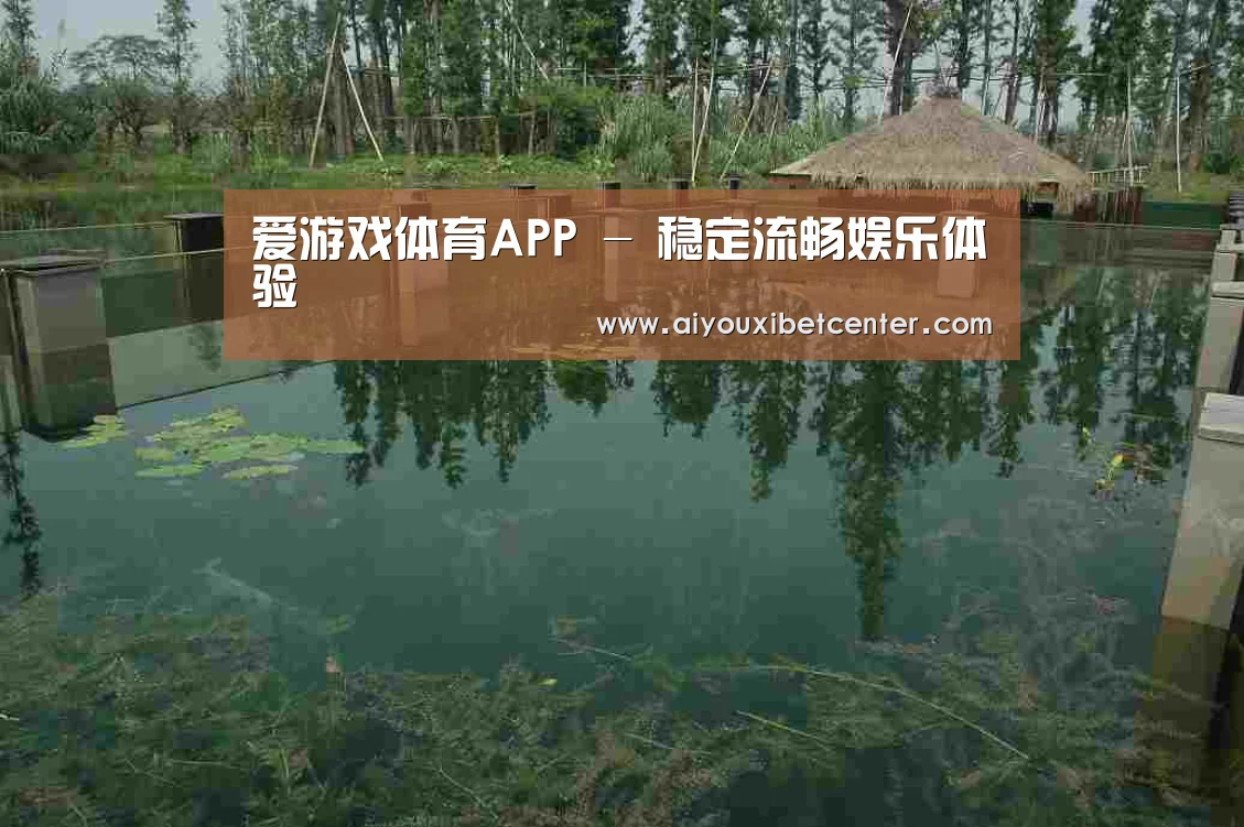 案例展示二(图1)
