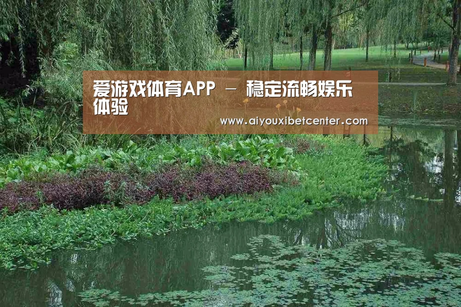 案例展示一