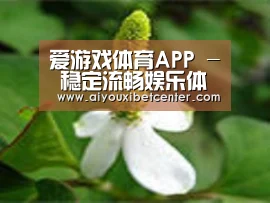 产品名称三
