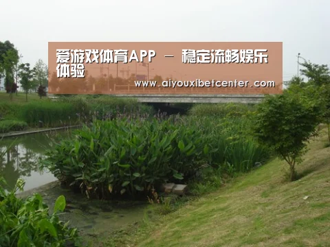 案例展示四