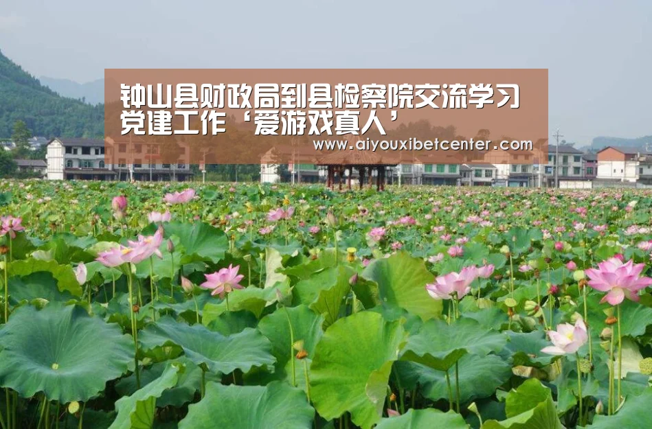 爱游戏平台