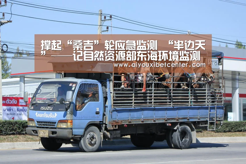 撑起“桑吉”轮应急监测 “半边天”——记自然资源部东海环境监测中心评价室巾帼团队“爱游戏真人”(图1) 爱游戏真人