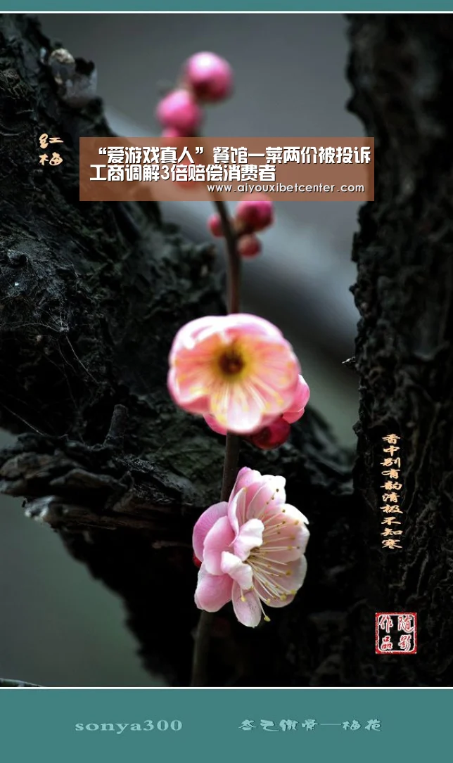 “爱游戏真人”餐馆一菜两价被投诉工商调解3倍赔偿消费者(图2) 爱游戏平台