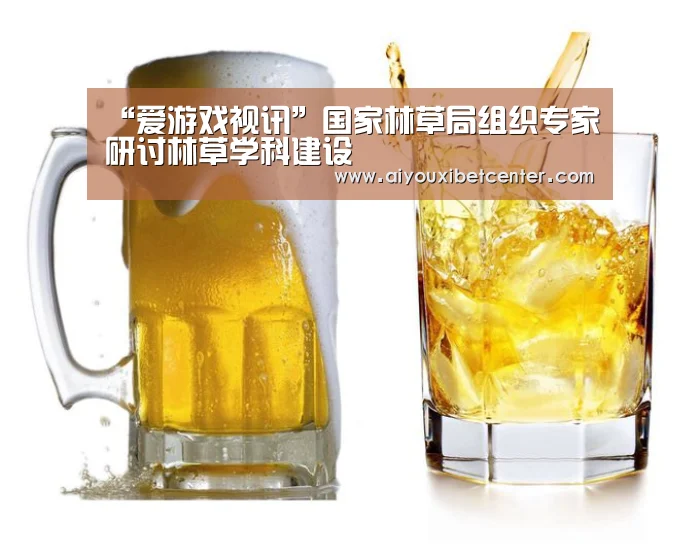 爱游戏视讯