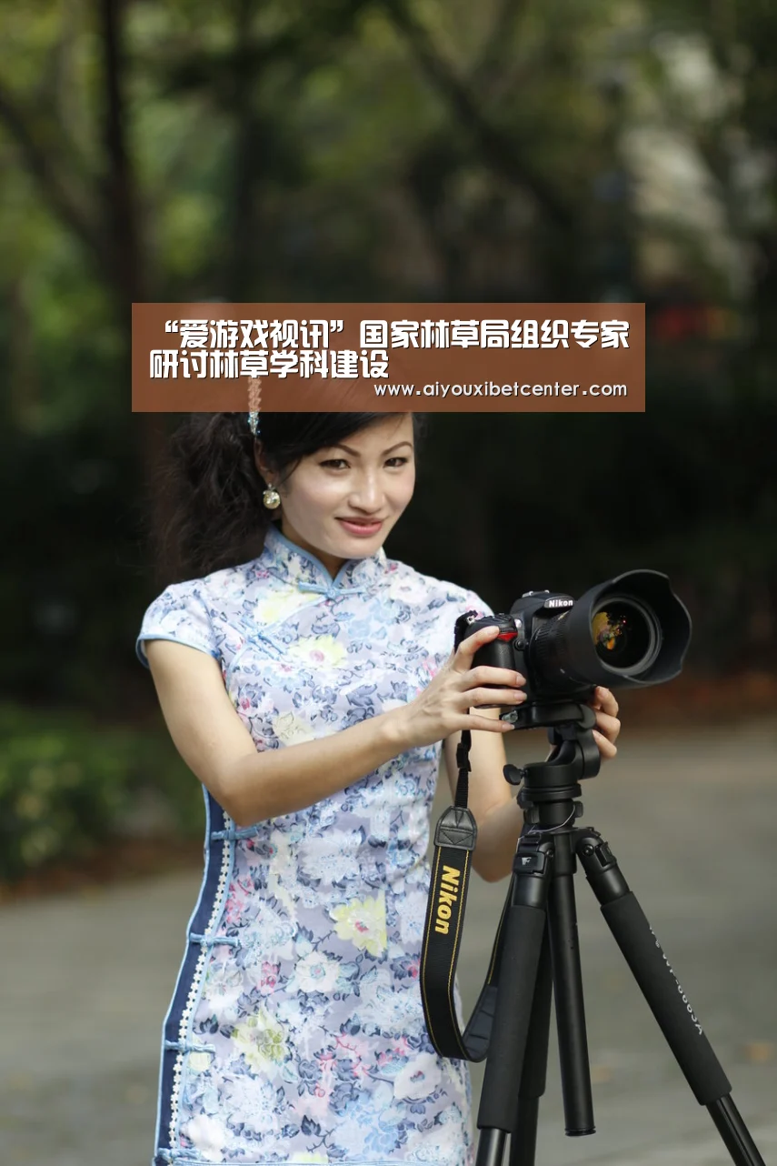 爱游戏视讯