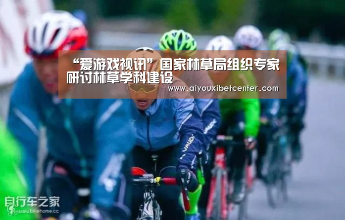 爱游戏平台