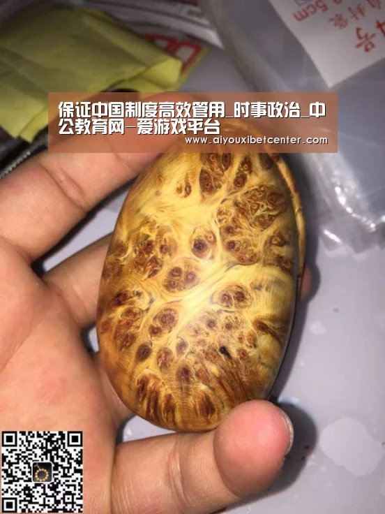 保证中国制度高效管用_时事政治_中公教育网-爱游戏平台(图1) 爱游戏平台