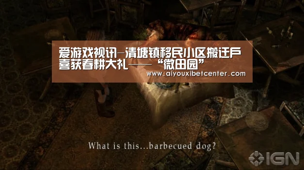 爱游戏视讯
